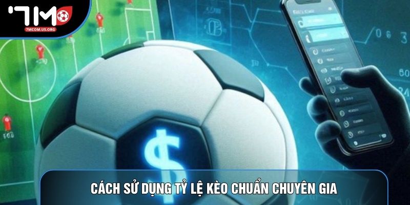 Cách sử dụng tỷ lệ kèo chuẩn chuyên gia Cách sử dụng tỷ lệ kèo chuẩn chuyên gia
