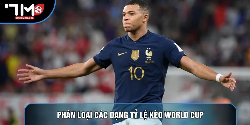 Phân loại các dạng tỷ lệ kèo World Cup Phân loại các dạng tỷ lệ kèo World Cup