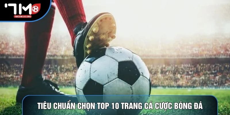Tiêu chuẩn chọn top 10 trang cá cược bóng đá Tiêu chuẩn chọn top 10 trang cá cược bóng đá
